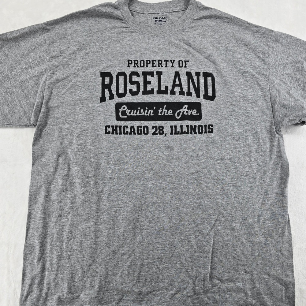 Gildan T Shirt Mens XL T Shirt Gray Property of Roseland Chicago Illinois‎ 6754